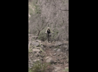 CATEMU TOUR NACIONAL 2024 RIDER 240 LUCAS OYARZO