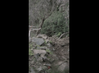 CATEMU TOUR NACIONAL 2024 RIDER 242 MAXIMILIANO FERNANDEZ