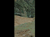 DEACHE SERIES PUCHUNCAVI RIDER 244 DIEGO LOBOS