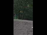 Campeon del Bike Park 2024 - Rider 24 RENATA WEISE