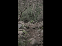 CATEMU TOUR NACIONAL 2024 RIDER 253 JUAN PABLO LOZANO