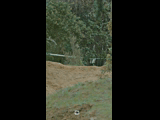 DEACHE SERIES PUCHUNCAVI RIDER 254 ANGELO LAINATI