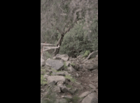 CATEMU TOUR NACIONAL 2024 RIDER 255 FELIPE ESCOBAR