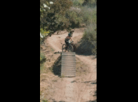 BeerFest Las Palmas 2024 - Rider 259 Maria Mozo