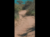 BeerFest Las Palmas 2024 - Rider 260 Cristobal Franasovic