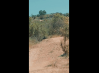 BeerFest Las Palmas 2024 - Rider 264 Ignacio Sepulveda