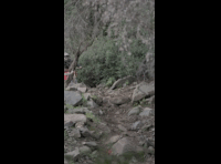 CATEMU TOUR NACIONAL 2024 RIDER 28 VICTOR CESPEDES
