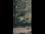 Campeon del Bike Park 2024 - Rider 2 PEDRO BURNS