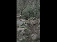 CATEMU TOUR NACIONAL 2024 RIDER 30 JOSE ANTONIO MOYANO
