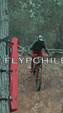 DHS Licanten 2024 - Rider 381 BENJAMIN OBRECHT