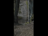 Campeon del Bike Park 2024 - Rider 39 Jose SotoMayor