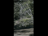 Campeon del Bike Park 2024 - Rider 39 Jose SotoMayor