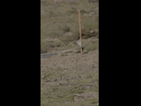DEACHE SERIES COLORADO 2024 UCI - 3 Juaquin Toro Montiel