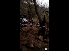 PACK DEACHE SERIES CATEMU 2023 Rider 40 Rene Salinas
