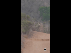 RIDE FEST LAS PALMAS MAYO // DH RIDER 452 Santiago Eguiguren
