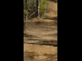 PACK VIDEOS PUMONES FAST RACING 2023 RIDER 45 AGUSTIN MARIN