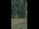 DEACHE SERIES PUCHUNCAVI RIDER 45 NICOLAS BARRERA