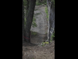 Campeon del Bike Park 2024 - Rider 46 MAX CARO / DOMINGO