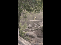CATEMU TOUR NACIONAL 2024 RIDER 46 GIOVANNI NEIRA
