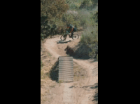 BeerFest Las Palmas 2024 - Rider 49 Pablo Pinto