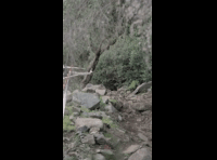 CATEMU TOUR NACIONAL 2024 RIDER 4 FELIPE BENAVIDES
