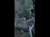 CATEMU TOUR NACIONAL 2024 RIDER 4 FELIPE BENAVIDES