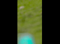 DEACHE SERIES PUCHUNCAVI 2024 RIDER 57 Amaro Huerta