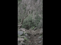 CATEMU TOUR NACIONAL 2024 RIDER 57 ALEXIS LAZO