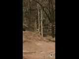 CURICO WINTER SERIES 2023 RIDER 61 Jose William