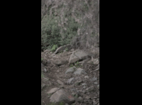 CATEMU TOUR NACIONAL 2024 RIDER 63 GUSTAVO ORTEGA
