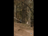 CURICO WINTER SERIES 2023 RIDER 6 Claudio Castro