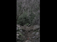 CATEMU TOUR NACIONAL 2024 RIDER 6 CLAUDIO SALAZAR