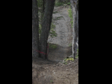 Campeon del Bike Park 2024 - Rider 72 MARTIN URRUTIA / DOMINGO