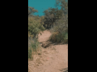 BeerFest Las Palmas 2024 - Rider 76 Alfredo Ovalle