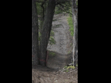 Campeon del Bike Park 2024 - Rider 85 VICENTE ARAGON