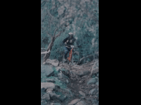 CATEMU TOUR NACIONAL 2024 RIDER 87 ADRIAN LEPE