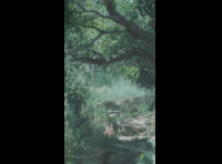 BeerFest Las Palmas 2024 - Rider 87