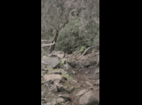 CATEMU TOUR NACIONAL 2024 RIDER 88 SEBASTIAN VASQUEZ
