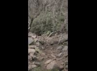 CATEMU TOUR NACIONAL 2024 RIDER 92 CLEMENTE MENZEL