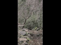 CATEMU TOUR NACIONAL 2024 RIDER 96 CRISTOBAL MARIN