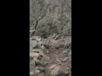CATEMU TOUR NACIONAL 2024 RIDER 97 CEDRIC OHACO