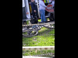 CURICO WINTER SERIES 2023 RIDER 98 Pablo Torres
