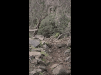 CATEMU TOUR NACIONAL 2024 RIDER 98 LUCIANO BUSCAGLIA