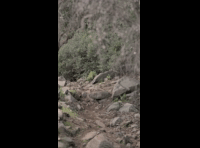 CATEMU TOUR NACIONAL 2024 RIDER 99 JOAQUIN NICOLAO