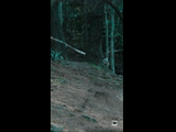 CURICO WINTER SERIES 2023 RIDER 9 Javier Valenzuela Osorio