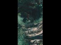 BeerFest Las Palmas 2024 - Rider DH 1 Felipe Figueroa