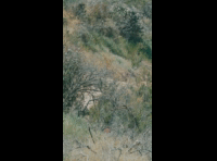 BeerFest Las Palmas 2024 - Rider DH 102