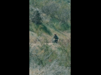 BeerFest Las Palmas 2024 - Rider DH 103