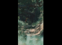 BeerFest Las Palmas 2024 - Rider DH 104