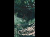 BeerFest Las Palmas 2024 - Rider DH 106